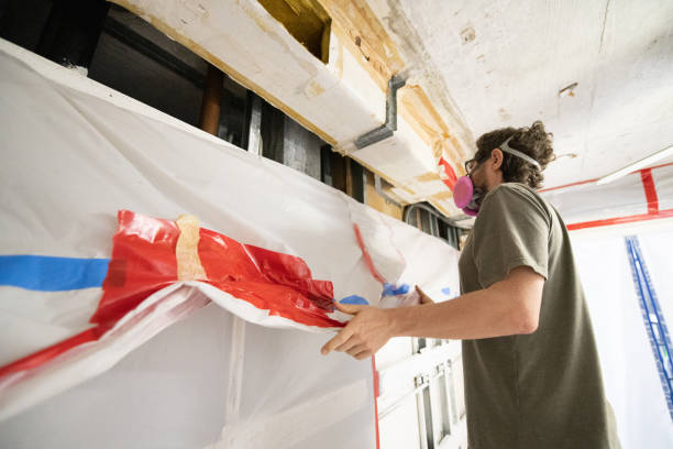 Best Mold Damage Restoration  in Buckeye Lake, OH
