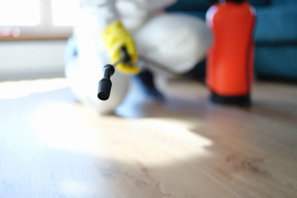 Best Air Quality Testing for Mold Spores  in Buckeye Lake, OH