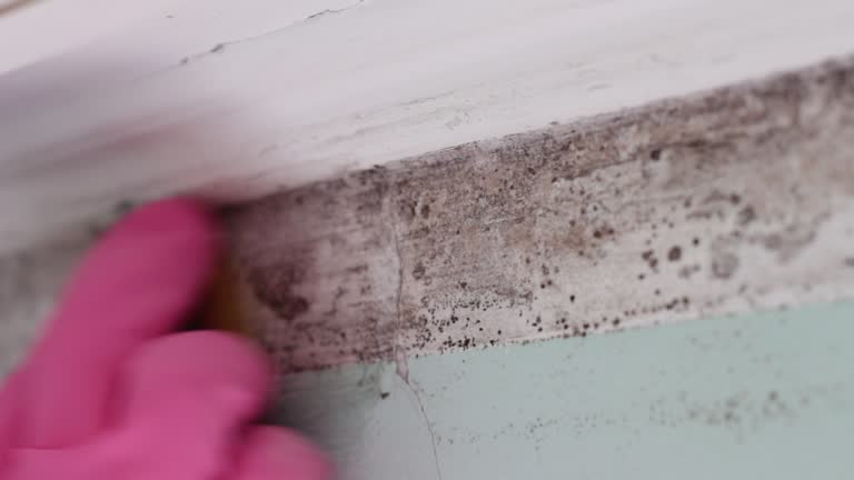 Best Indoor Air Quality Assessment  in Buckeye Lake, OH